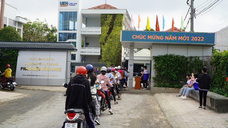 cá cược thể thao hul city